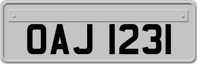 OAJ1231