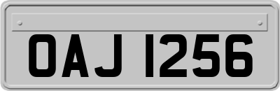OAJ1256