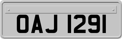 OAJ1291