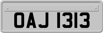 OAJ1313