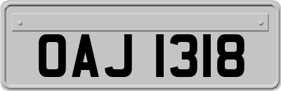 OAJ1318