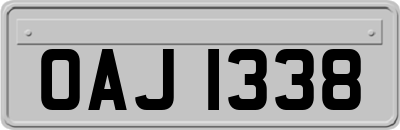 OAJ1338