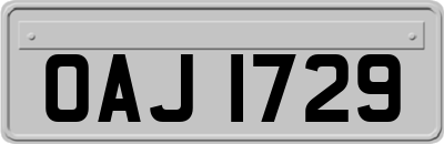 OAJ1729