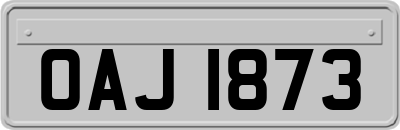 OAJ1873