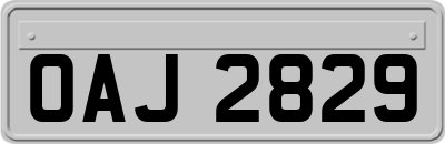 OAJ2829