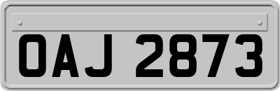 OAJ2873