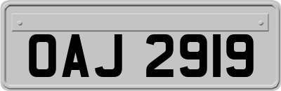 OAJ2919