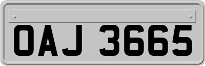 OAJ3665