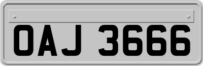 OAJ3666