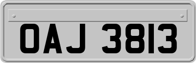OAJ3813