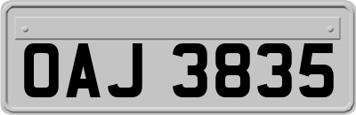 OAJ3835
