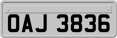OAJ3836