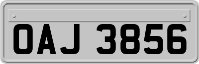 OAJ3856