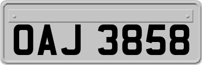 OAJ3858
