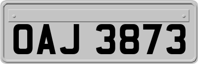 OAJ3873