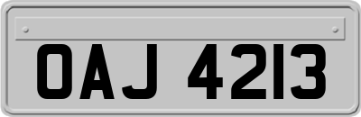 OAJ4213