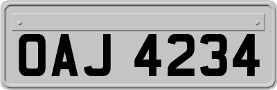 OAJ4234