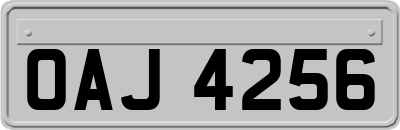 OAJ4256