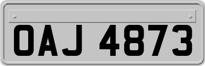 OAJ4873