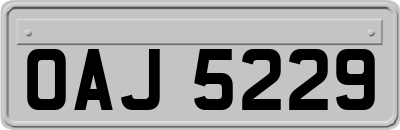 OAJ5229