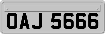 OAJ5666