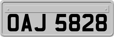 OAJ5828