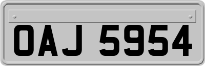 OAJ5954
