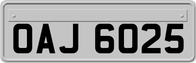 OAJ6025