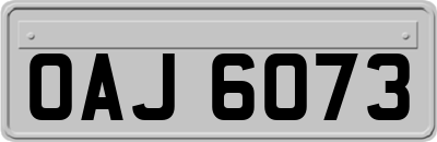 OAJ6073