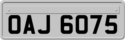 OAJ6075