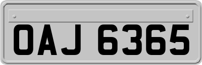 OAJ6365