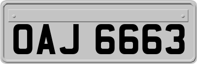 OAJ6663