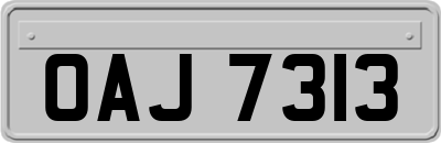 OAJ7313