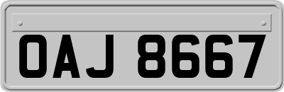 OAJ8667