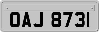 OAJ8731