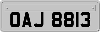 OAJ8813
