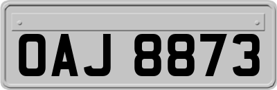 OAJ8873