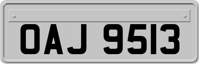 OAJ9513