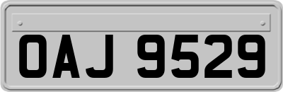 OAJ9529