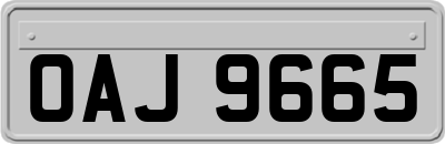 OAJ9665