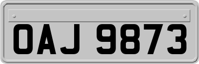 OAJ9873