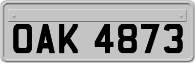 OAK4873