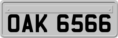 OAK6566
