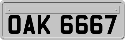 OAK6667