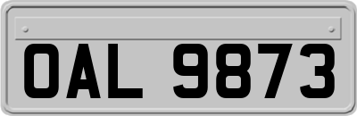 OAL9873