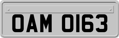 OAM0163