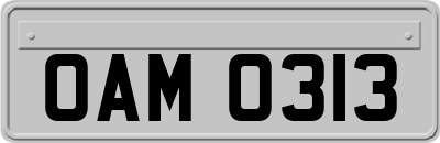 OAM0313