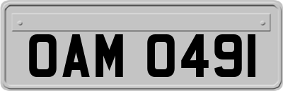OAM0491