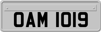 OAM1019