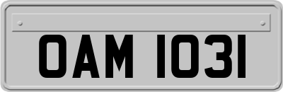 OAM1031